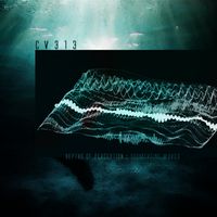 depths of perception : submerging waves by cv313