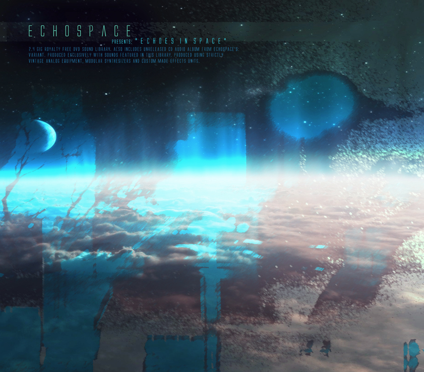 echospace313.com