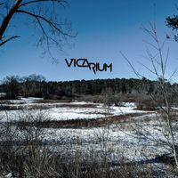 Vicarium by Vicarium