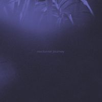 Nocturnal Journey by ASRA