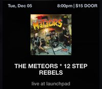12 Step Rebels with The METEORS