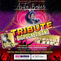 Tribute to Anita Baker (featuring Sonia Hardy)