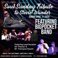 Soul Sunday Tribute to Stevie Wonder