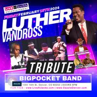 Tribute to Luther Vandross  