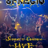 Sudore e coglioni - Live DVD