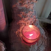 Moon Stump Candle Holder