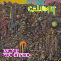In Love (You Got Me) by Calumet