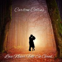 Love Never Felt So Good by Carlton Collins