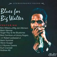 Blues for Big Walter: Compilation