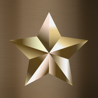 Bronze VIP