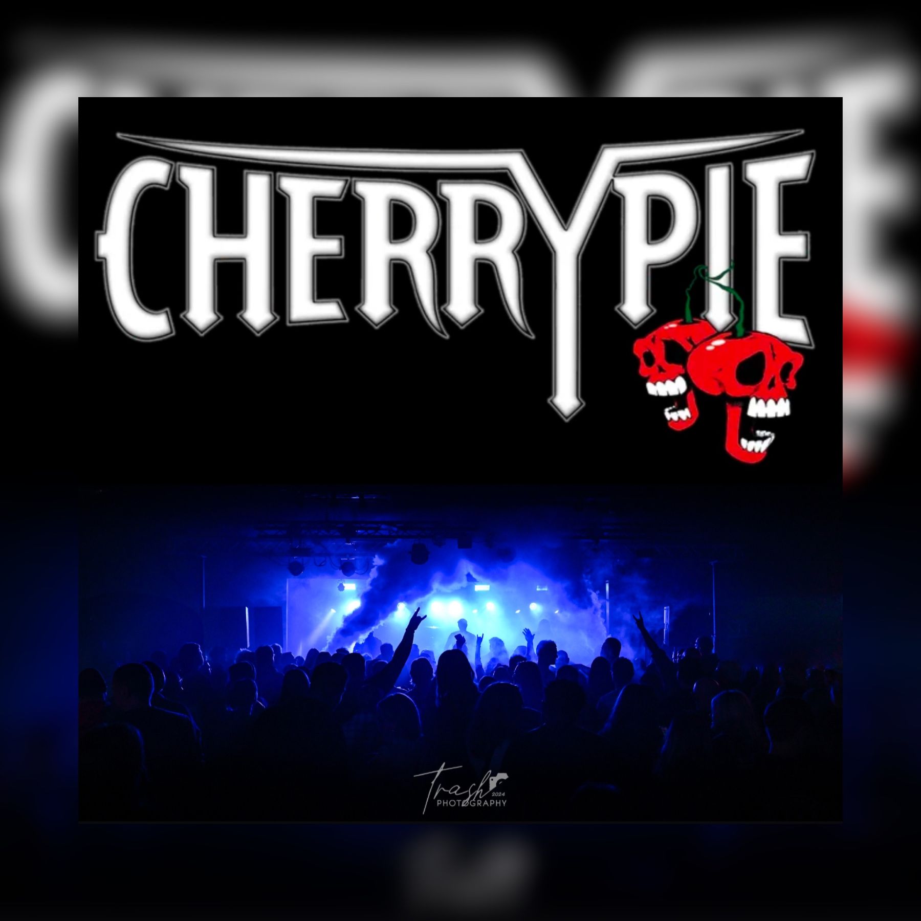 邦楽 WORD IN THE PETALS - CHERRYBOY FUNCTION CHERRYBOY FUNCTION / WORD IN THE PETALS - LOS APSON? Online Shop