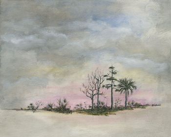 Dry Land...
Acrylic on Canvas  20" x 16"
