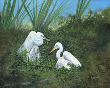 The Courtship...
Acrylic on Canvas  30" x 24"
