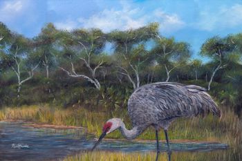 Florida Sandhill Crane...
Acrylic on Canvas  36" x 24"

