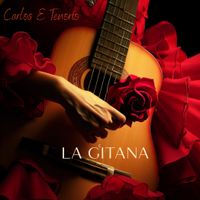 La Gitana by Carlos E Tenorio