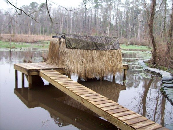 Duck blind dog clearance ramp