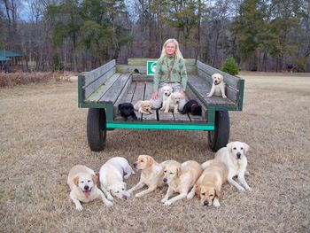 12-20-12 We have added 4 of Grace's pups to our group. We are excited about their potential and will keep updating this section as these pups grow up. See pics above of Lilly, Blaze, Reverend and Faith.
