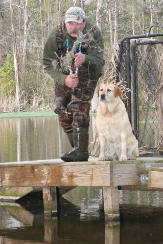 I promise, There's a big ole' fat green head out there somewhere! Photo by Wendy White.
