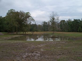 This is the "Tobacco Barn Pond" from its west end. It has several technical aspects to make it a nice little training pond to challenging any level of dog.
