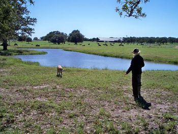 Pre-Master National training in Texas was a lot of fun. Most landscapes included rolling pastures, oak trees, ponds and cattle of course.
