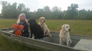 4-11-16  Angie, Lilly, Faith and Reverend with ribbons form Lumber River Retriever Club Hunt Test
