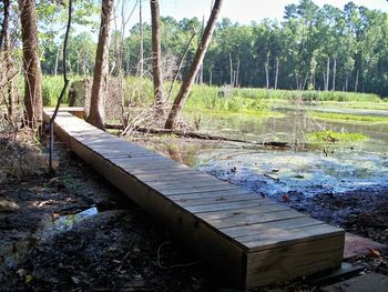 We have several duck blind style winger stations on the property that have walkways out to them. This makes for quicker and simpler reloads of the wingers. This one is in the beaver pond (stick pond).
