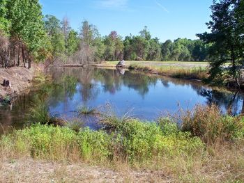 This is a multi-use pond for us. We use it as a swim by pond and also when we are mixing land/water marks.
