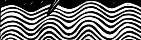 Black and white cropped image of our product label, featuring organically shaped squiggly lines.