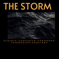 The Storm by Regenia Carpenter-Edmond MD