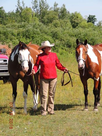 Spike and Jake showing at Ontario Pinto.
