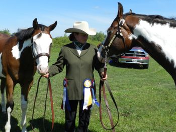 Both Grand Champions at Ontario Pinto June 2013.
