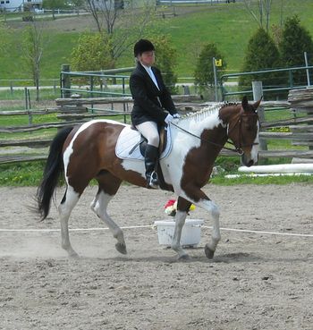 Basic English and Western Dressage
