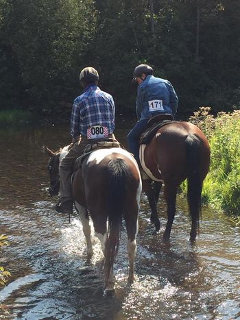 Tatti & Jake at RTR Trail Trials winning 1st & 2nd.
