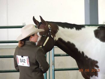 Showmanship
