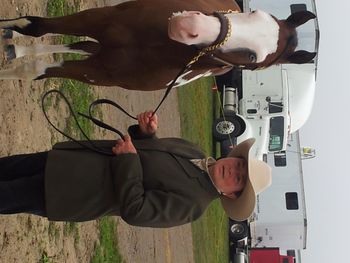 Spike at Orangeville Fall Fair Pinto Show. 1st & 2nd, geldings all ages.
