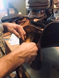 Western Saddle Dissection Workshop