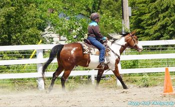 Jake showing Extreme Cowboy at the Millbrook Fair 2017.
