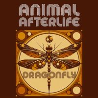 Dragonfly II by Animal Afterlife
