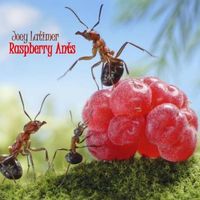 Raspberry Ants by Joey Latimer