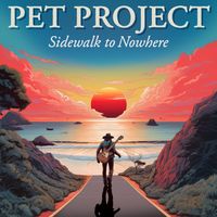 Sidewalk to Nowhere by Pet Project