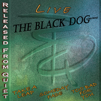 Live at The Black Dog by Released From Quiet