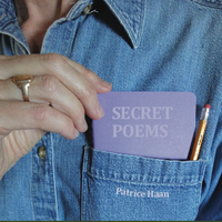 Secret Poems by Patrice Haan
