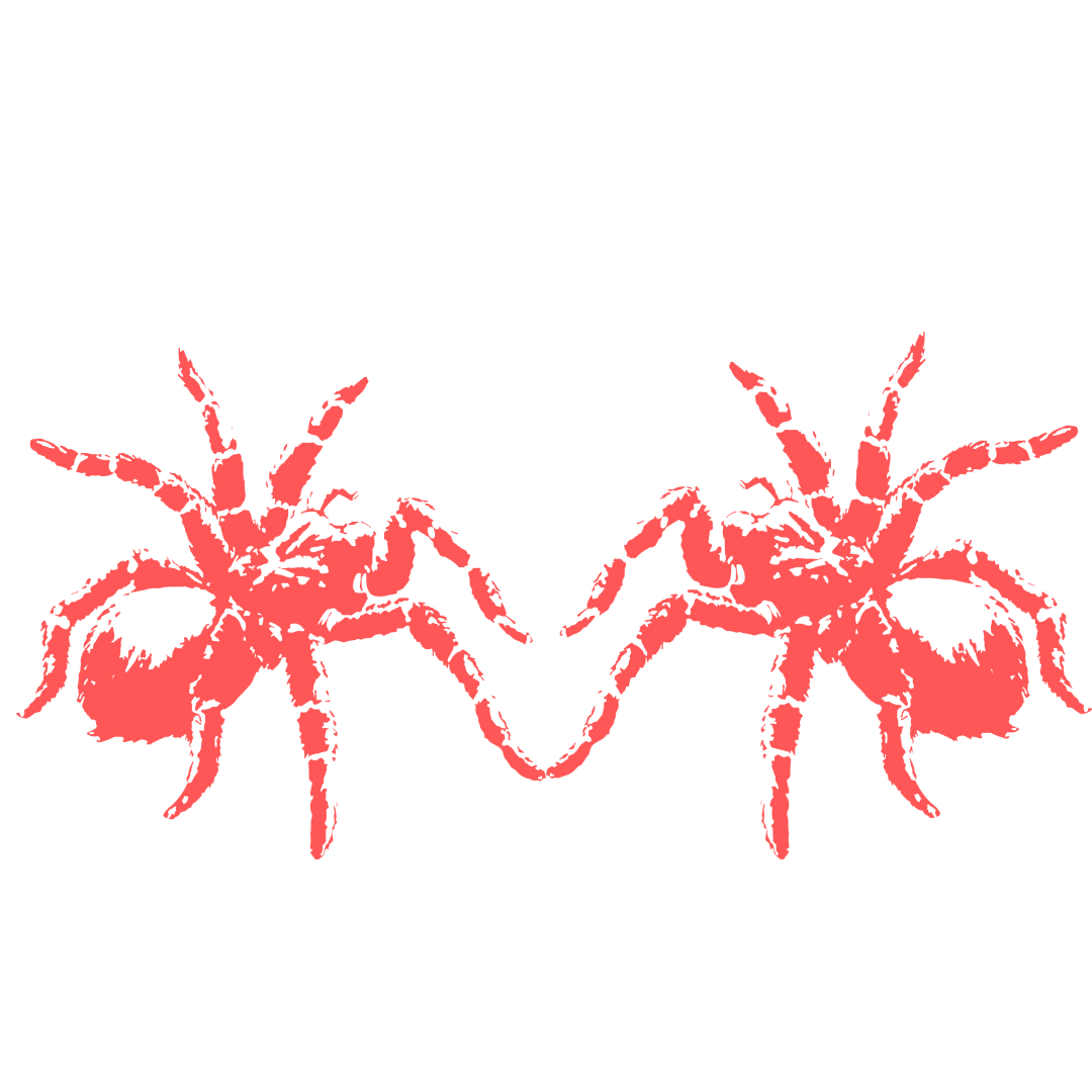 tarantula Trust Fund