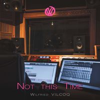 Not This Time by Wilfried VILCOQ
