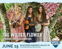Blue Ridge Music Center: The Wilder Flower Opening for the SteelDrivers