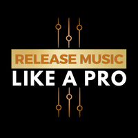 RELEASE MUSIC LIKE A PRO (self-paced 12-part video course)