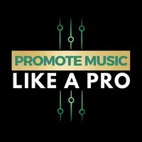 PROMOTE MUSIC LIKE A PRO: Fast Track to Sync (self-paced 4-part video course)