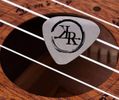 Stainless Steel Guitar Pick