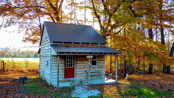 Bill Monroe's Music Park & Campground - Cozy Cabins