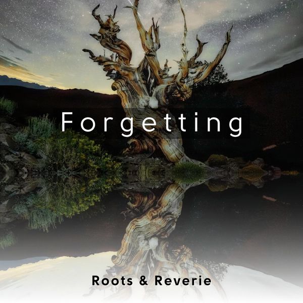 Roots Reverie Roots & Reverie